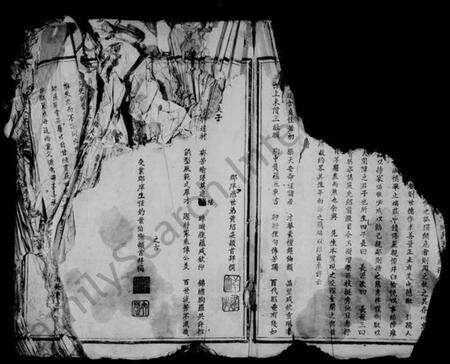 江西王氏族谱-太原堂王氏五修族谱.pdf电子版预览图3