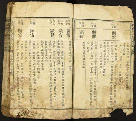 江西王氏族谱-宁都王氏五修族谱.pdf电子版预览图3