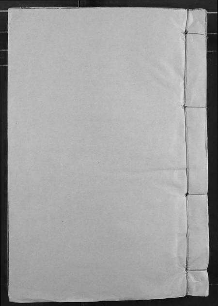 江西王氏族谱-永丰岭南王氏九修文献志.pdf电子版缩略图