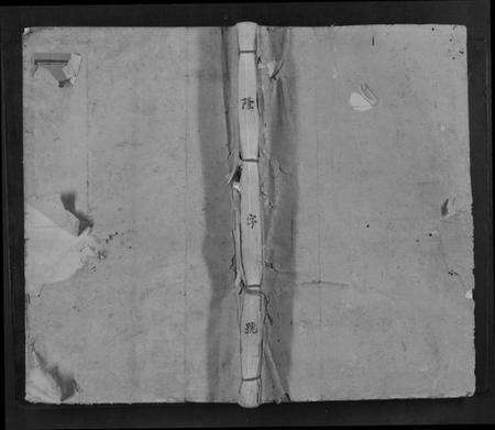 江西王氏族谱-王氏三槐重修族谱[不分卷].pdf电子版缩略图