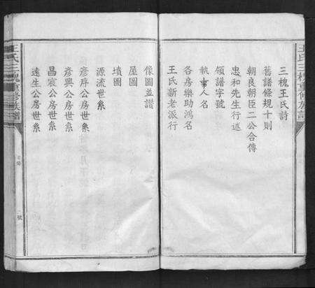 江西王氏族谱-王氏三槐重修族谱[不分卷].pdf电子版预览图5