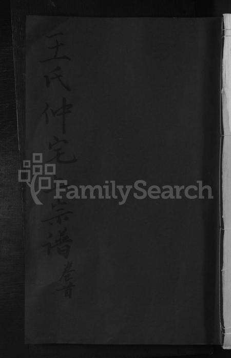 江西王氏族谱-王氏仲宅上宗谱 [残卷].pdf电子版缩略图