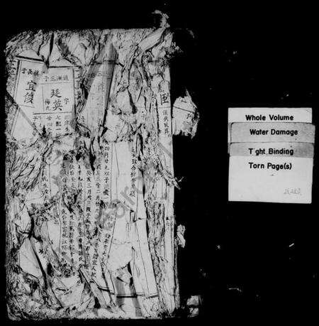 江西王氏族谱-王氏增修族谱 [残卷].pdf电子版预览图2