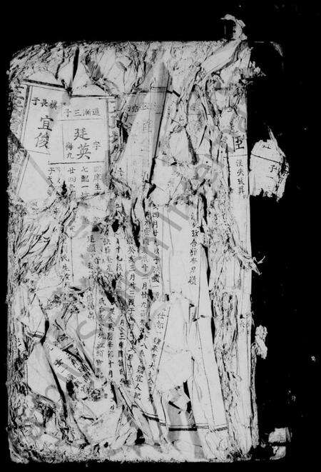 江西王氏族谱-王氏增修族谱 [残卷].pdf电子版预览图3