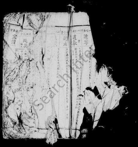 江西王氏族谱-王氏增修族谱 [残卷].pdf电子版预览图4