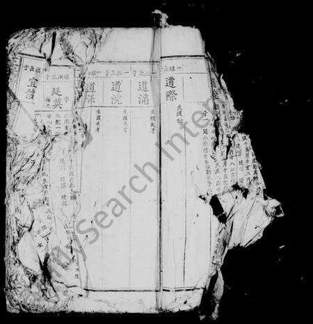 江西王氏族谱-王氏增修族谱 [残卷].pdf电子版预览图5