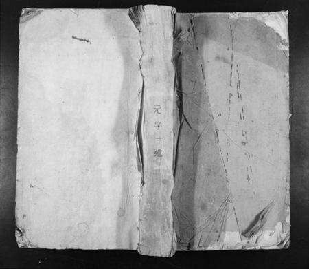 江西王氏族谱-王氏宗谱[不分卷].pdf电子版缩略图