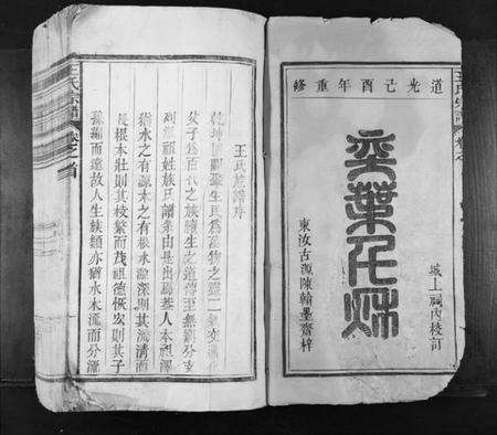 江西王氏族谱-王氏宗谱[不分卷].pdf电子版预览图1