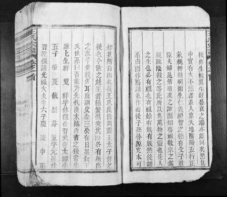 江西王氏族谱-王氏宗谱[不分卷].pdf电子版预览图2