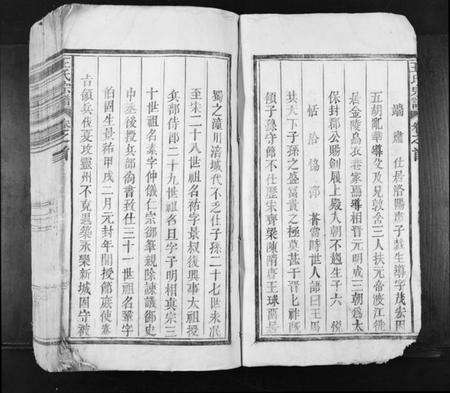 江西王氏族谱-王氏宗谱[不分卷].pdf电子版预览图3