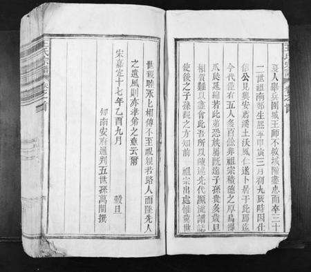 江西王氏族谱-王氏宗谱[不分卷].pdf电子版预览图4