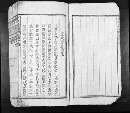 江西王氏族谱-王氏宗谱[不分卷].pdf电子版预览图5