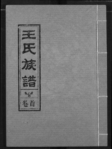 江西王氏族谱-王氏族谱.pdf电子版缩略图