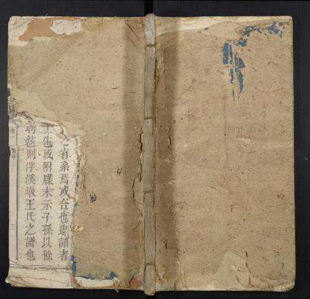 江西王氏族谱-王氏族谱.pdf电子版缩略图