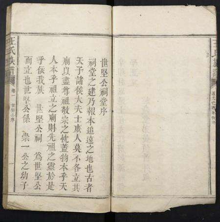 江西王氏族谱-王氏族谱.pdf电子版预览图3