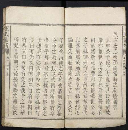 江西王氏族谱-王氏族谱.pdf电子版预览图4