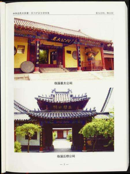 四川丘氏族谱-中华丘氏大宗谱.四川省泸县分谱续集.pdf电子版预览图5