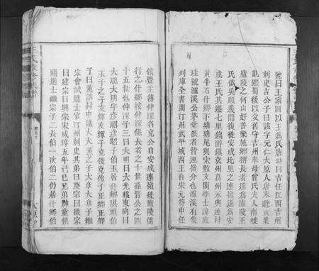 江西王氏族谱-王氏重修族谱[不分卷].pdf电子版预览图2