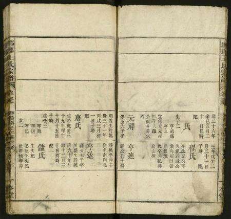 江西王氏族谱-琅琊王氏宗谱 [存经支卷].pdf电子版预览图5