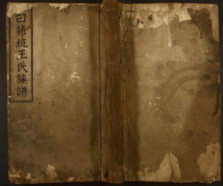 江西王氏族谱-白茆坑王氏族谱.pdf电子版缩略图