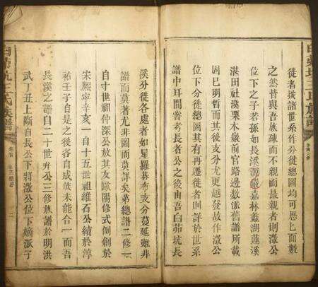 江西王氏族谱-白茆坑王氏族谱.pdf电子版预览图2