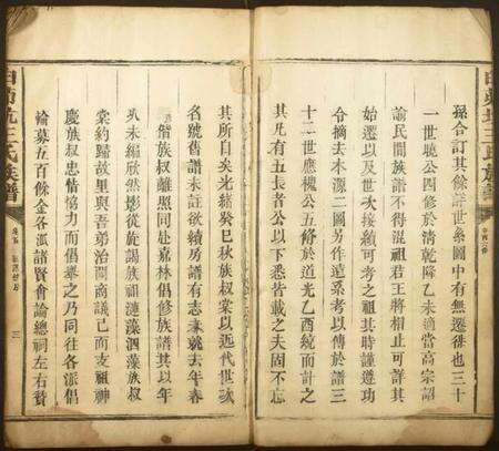 江西王氏族谱-白茆坑王氏族谱.pdf电子版预览图3