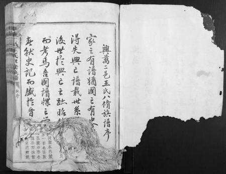 江西王氏族谱-兴万二邑王氏八修族谱[不分卷].pdf电子版预览图1