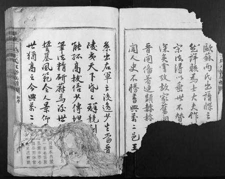 江西王氏族谱-兴万二邑王氏八修族谱[不分卷].pdf电子版预览图2