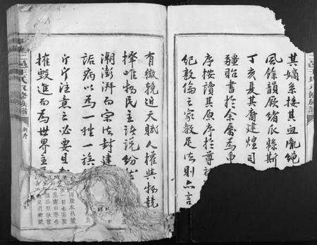 江西王氏族谱-兴万二邑王氏八修族谱[不分卷].pdf电子版预览图3