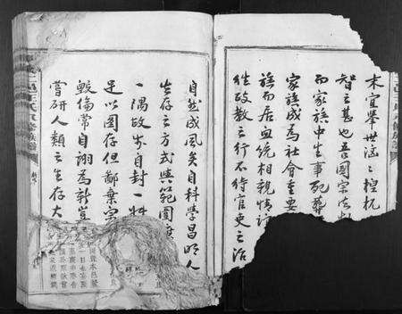 江西王氏族谱-兴万二邑王氏八修族谱[不分卷].pdf电子版预览图4