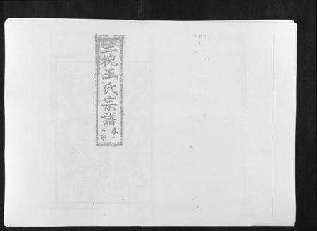 江西王氏族谱-复社王氏族谱.pdf电子版缩略图