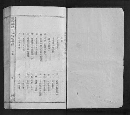 江西王氏族谱-雩都旸溪王氏六修族谱[不分卷].pdf电子版预览图1