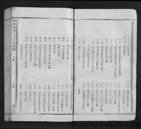 江西王氏族谱-雩都旸溪王氏六修族谱[不分卷].pdf电子版预览图2