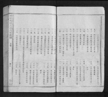 江西王氏族谱-雩都旸溪王氏六修族谱[不分卷].pdf电子版预览图4