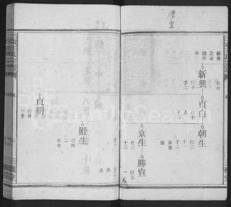 江西王氏族谱-三求王氏宗谱 [不分卷].pdf电子版预览图2