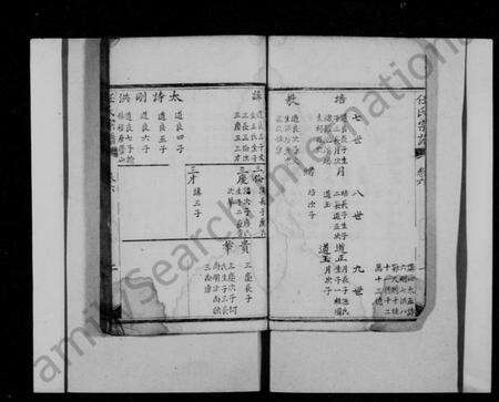 四川任氏族谱-任氏宗谱.pdf电子版预览图5