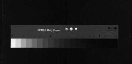 湖北任氏族谱-任氏宗谱 [20卷,首4卷].pdf电子版缩略图