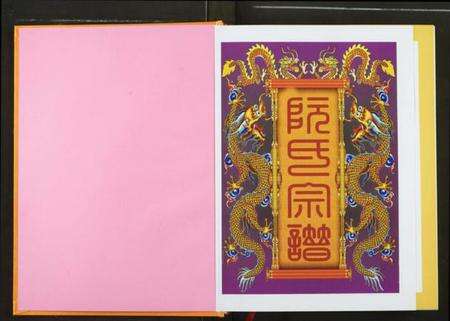 湖北阮氏族谱-阮氏宗谱.pdf电子版预览图2