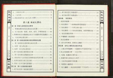 湖北阮氏族谱-阮氏宗谱.pdf电子版预览图4