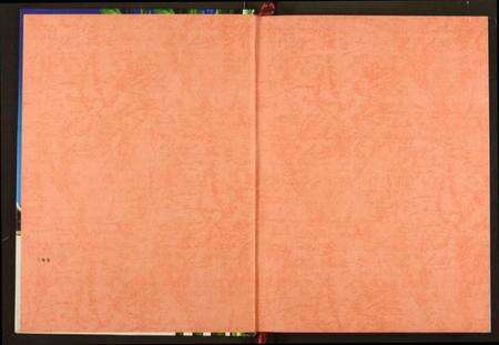 湖北阮氏族谱-阮氏宗谱.pdf电子版预览图1