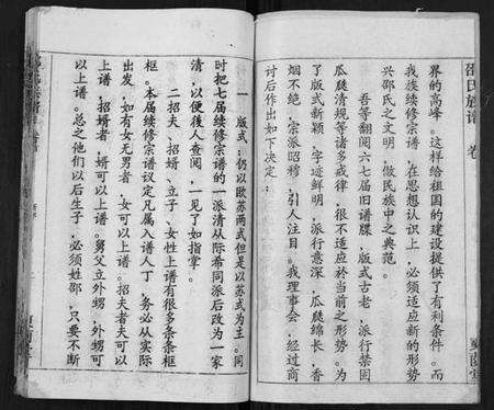 湖北邵氏族谱-邵氏宗谱[不分卷,首3卷].pdf电子版预览图2