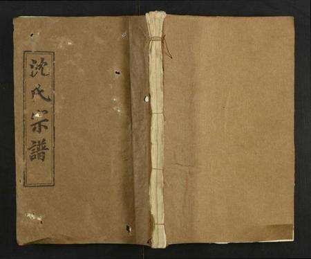 湖北沈氏族谱-沈氏宗谱.pdf电子版缩略图