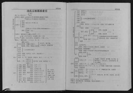 湖北沈氏族谱-沈氏宗谱[4卷].pdf电子版预览图5