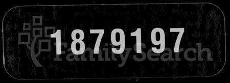 湖北施氏族谱-施氏宗谱 [59卷,首2卷].pdf电子版缩略图