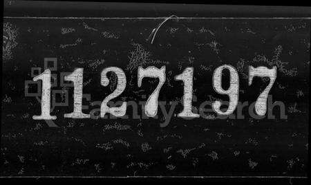 江苏史氏族谱-史氏宗谱 [12卷,首1卷].pdf电子版缩略图