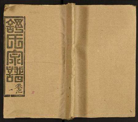 湖北舒氏族谱-舒氏宗谱.pdf电子版缩略图