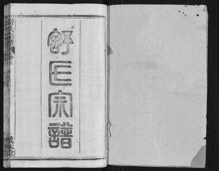 湖北舒氏族谱-舒氏宗谱[17卷首末各1卷].pdf电子版预览图1