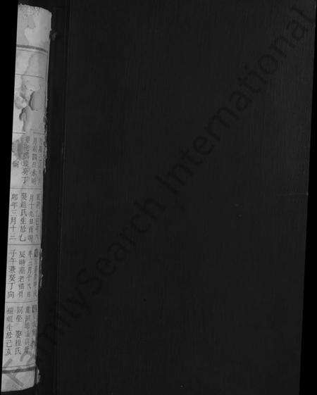 江西未知族谱-义门陈氏宗谱[残卷].pdf电子版预览图2