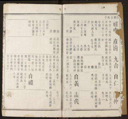 湖北苏氏族谱-苏氏宗谱.pdf电子版预览图3