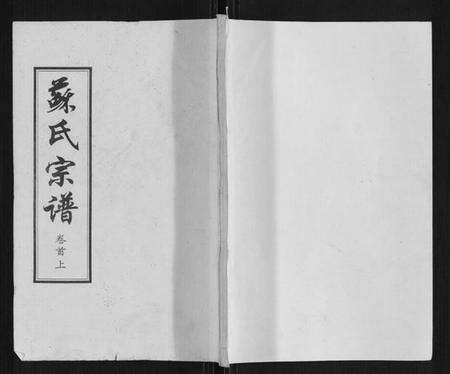 湖北苏氏族谱-苏氏宗谱[20卷首3卷].pdf电子版缩略图